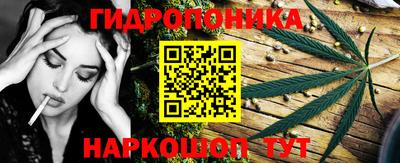 спайс Аргун