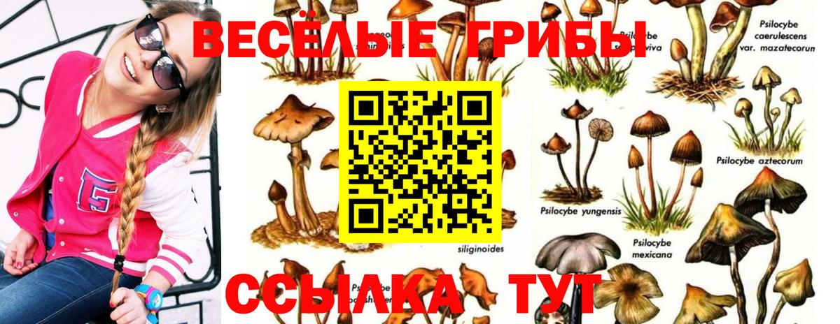 Галлюциногенные грибы Psilocybine cubensis Верхняя Салда